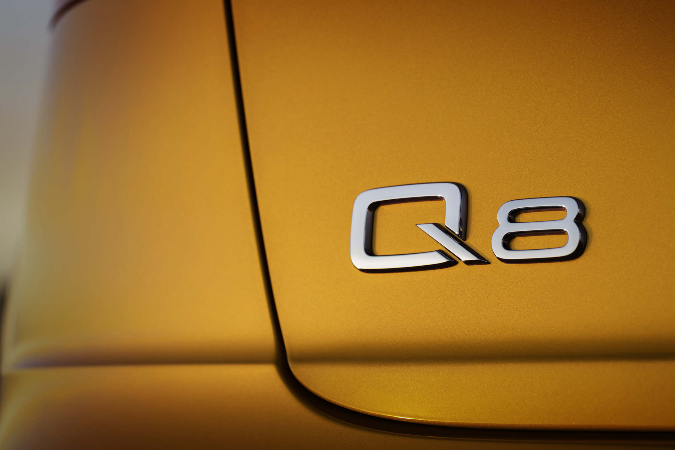 RWink_Audi_Q8_Detail_002_B2200